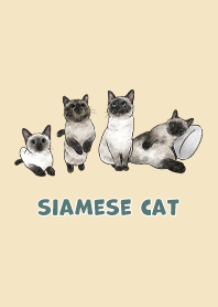 siamesecats3 / pale yellow