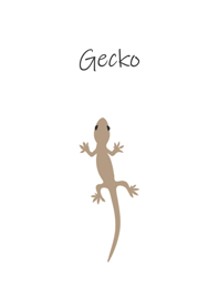 Simple and cute gecko