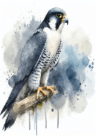 King of the Sky Peregrine Falcon