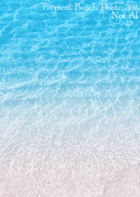 Tropical Beach Photo 302 Not AI