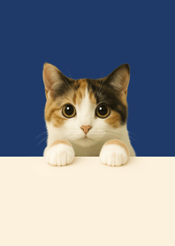 Calico Peek | Navy & Beige#8