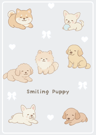 Gray Friendly Dog-Dogs 03_2