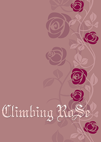 Climbing Rose*baked-pink