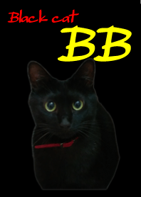 黒猫ビイビ