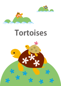 カメの親子ののんびりトーク