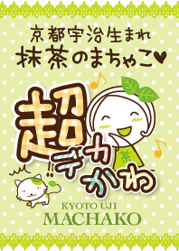 京都宇治生まれ抹茶まちゃこデカかわ文字