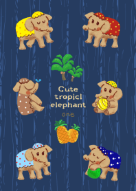 Cute tropical elephant01