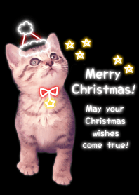 -- Christmas 2019 -- 3