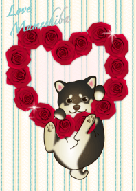 バレンタイン love 豆柴（犬）ベージュ