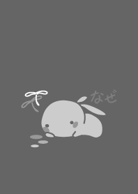 rabbit staring-24