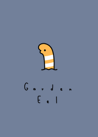 花園鰻 : blue gray