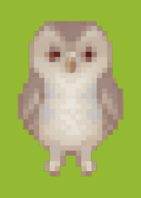 Owl Pixel Art Theme  Green 03