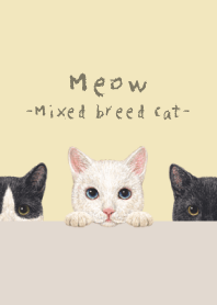 Meow - Mixed breed cat 02 - CREAM YELLOW