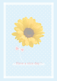 - Sunflower - 2020 - 16 -