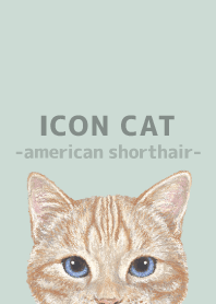 ICON CAT-American Shorthair-PASTEL GR/04