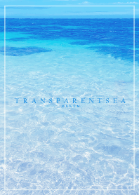TRANSPARENT SEA-HAWAII 22