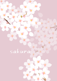 ～桜～ Vol.2
