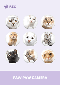 Paw Paw Camera -  Purple 12