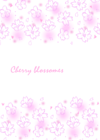 Cherry Blossoms cute