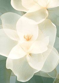 Beautiful Flower Series #11