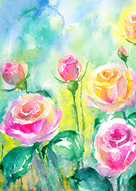 Beautiful rose flower(R1336)