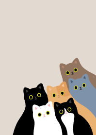 cats cats cats meow6