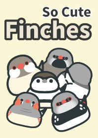 Birds-Little Finches