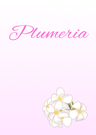 Flower series Plumeria