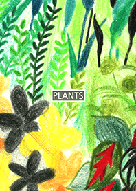 PLANT 017
