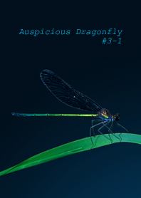 Auspicious Dragonfly #3-1