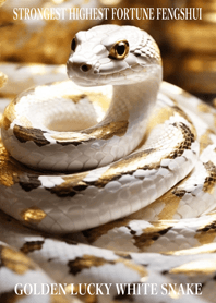 Golden White Snake of Luck 17