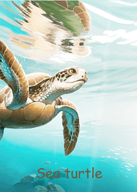海洋裡的美麗海龜！
