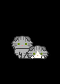 ST Fold Cat*darkmode*long-haired*