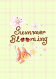 Summer bloomingg