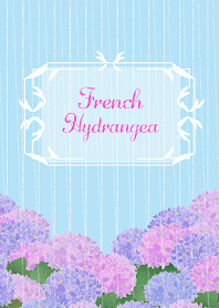 French=Hydrangea