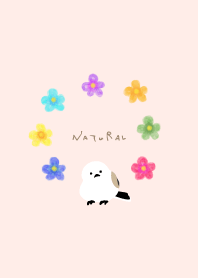 Long-tailed tit watercolor flower4 Japan