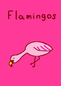 フラミンゴたち