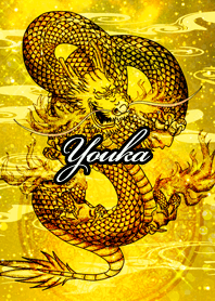 Youka Golden Dragon Money luck UP