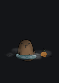 capybara - swim