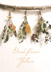 Dried flower_yellow_White