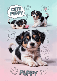 Cute Puppy.2