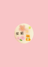 SHIBA-KAI~spring~