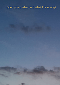 Don't you understand what I'm saying?