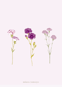 simple Carnation bouquet - purple
