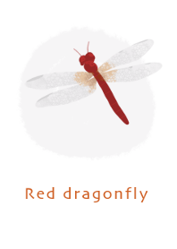 Red fly