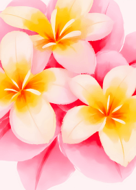 tropical plumeria flower theme