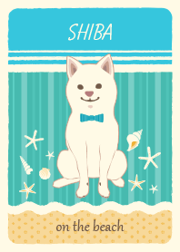 White SHIBA on the beach!