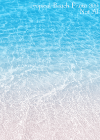 Tropical Beach Photo 309 Not AI