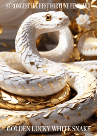 Golden Lucky White Snake 49