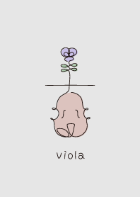 ビオラの花が咲くビオラ